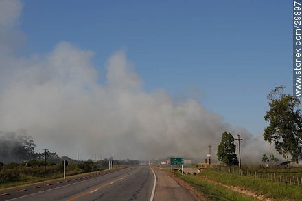 Cloud of smoke in route 9 - Department of Rocha - URUGUAY. Photo #29897