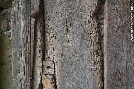Vestigios del tiempo en la madera - Región de Languedoc-Rousillon - FRANCIA. Foto No. 30222