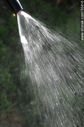 Spraying water -  - MORE IMAGES. Photo #30416