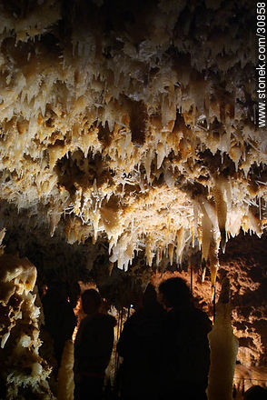 Stalagtites and stalagmites in the grout of the Grand Roc. Eyzies-de-Tayac-Sireuil. - Region of Aquitaine - FRANCE. Photo #30858