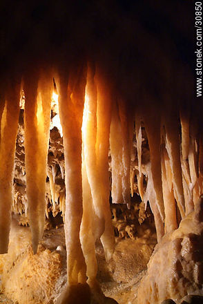 Estalactitas en la gruta de la Gran Roca. Eyzies-de-Tayac-Sireuil - Aquitania - FRANCIA. Foto No. 30850
