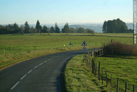 Route D706 to the south - Region of Aquitaine - FRANCE. Photo #30911