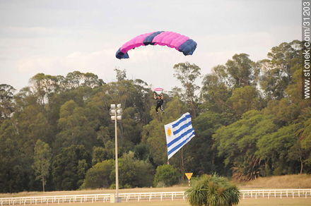 6 de enero de 2009. Exhibición de paracaidismo. - Departamento de Montevideo - URUGUAY. Foto No. 31203