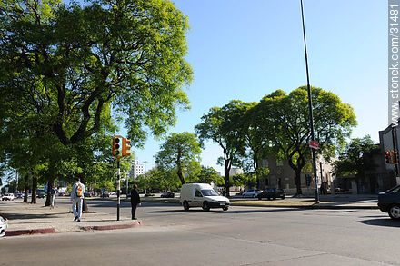 Artigas Boulevard - Department of Montevideo - URUGUAY. Photo #31481