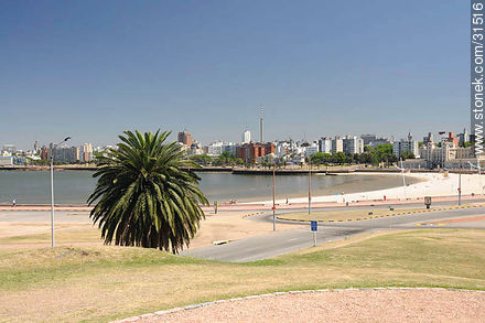 Playa Ramírez y el edificio Mercosur - Departamento de Montevideo - URUGUAY. Foto No. 31516