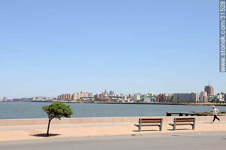 Rambla del Parque Rodó - Departamento de Montevideo - URUGUAY. Foto No. 31528
