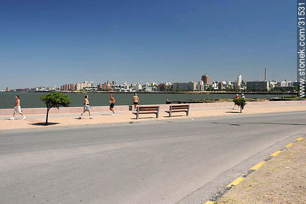 Rambla de las canteras del Parque Rodó - Departamento de Montevideo - URUGUAY. Foto No. 31531