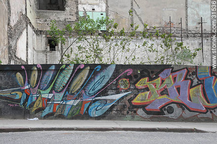 Graffiti in Montevideo - Department of Montevideo - URUGUAY. Photo #31536