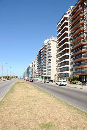 Mahatma Gandhi Avenue - Department of Montevideo - URUGUAY. Photo #31541