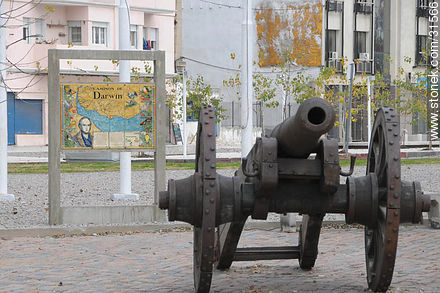 Los caminos de Darwin en la plaza de Las Bóvedas - Departamento de Montevideo - URUGUAY. Foto No. 31566
