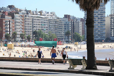 Pocitos beach in Montevideo - Department of Montevideo - URUGUAY. Photo #31591