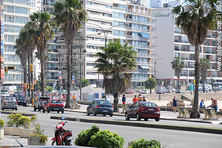Pocitos beach - Department of Montevideo - URUGUAY. Photo #31593