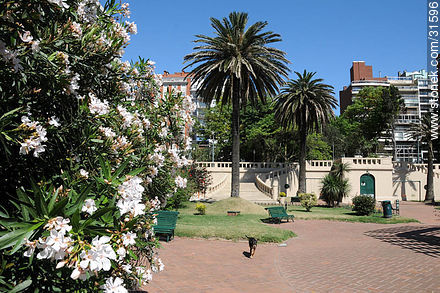 Gomensoro square - Department of Montevideo - URUGUAY. Photo #31596