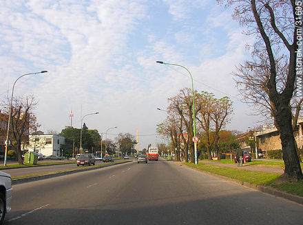 Bulevar Artigas. Barrio La Figurita - Departamento de Montevideo - URUGUAY. Foto No. 31695