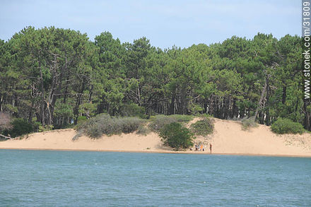 Playa de El Placer. - Punta del Este y balnearios cercanos - URUGUAY. Foto No. 31809
