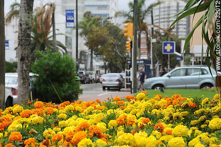 20th Street 'El Remanso' - Punta del Este and its near resorts - URUGUAY. Photo #32012