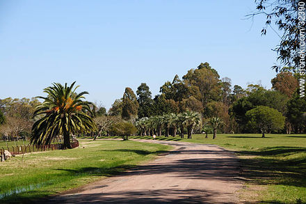 Parque Lecocq. - Departamento de Montevideo - URUGUAY. Foto No. 32390