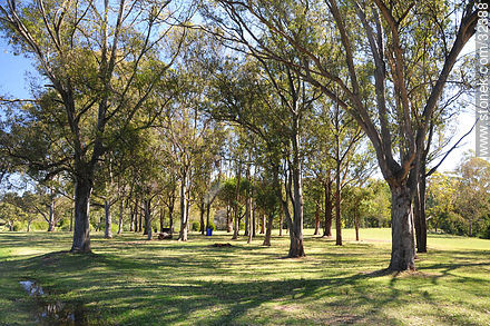 Parque Lecocq. - Departamento de Montevideo - URUGUAY. Foto No. 32388