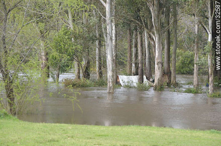 Flooding fields around the Tacuarembó Chico river - Tacuarembo - URUGUAY. Photo #32587