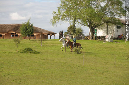 Riding by the fields - Tacuarembo - URUGUAY. Photo #32570