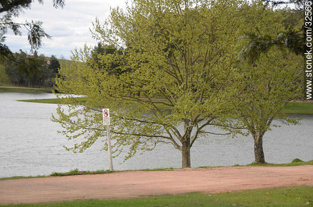 Lago de la Juventud en el Balneario Iporá - Departamento de Tacuarembó - URUGUAY. Foto No. 32566