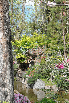 Jardín Japonés en primavera - Departamento de Montevideo - URUGUAY. Foto No. 32819