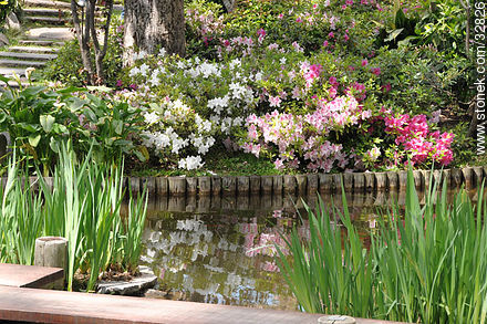 Jardín Japonés en primavera - Departamento de Montevideo - URUGUAY. Foto No. 32826