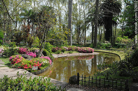 Jardín Japonés en primavera - Departamento de Montevideo - URUGUAY. Foto No. 32802