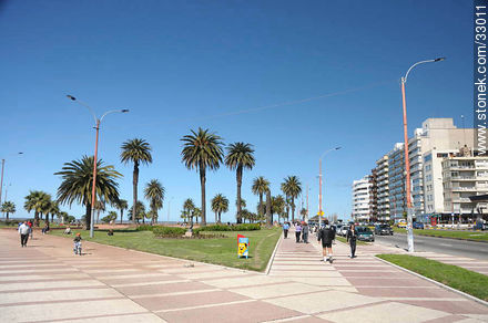 Pocitos boardwalk. - Department of Montevideo - URUGUAY. Photo #33011