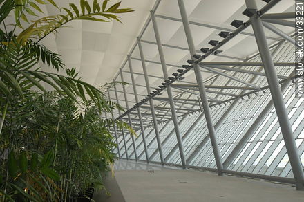 Verde en el tercer nivel del nuevo aeropuerto de Carrasco, 2009. - Departamento de Canelones - URUGUAY. Foto No. 33221