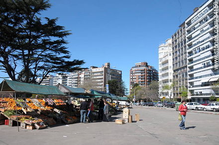 Feria de Villa Biarritz. Calle Leyenda Patria. - Departamento de Montevideo - URUGUAY. Foto No. 34150