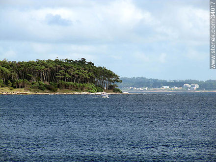 Gorriti Island - Punta del Este and its near resorts - URUGUAY. Photo #34017