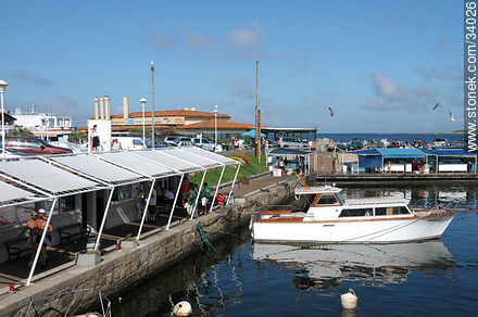Port of Punta del Este - Punta del Este and its near resorts - URUGUAY. Photo #34026