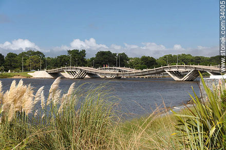 Puente ondulante sobre el arroyo Maldonado - Punta del Este y balnearios cercanos - URUGUAY. Foto No. 34005