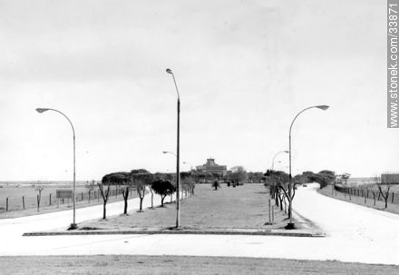 Avenida de ingreso al aeropuerto de Carrasco (el antiguo) - Departamento de Canelones - URUGUAY. Foto No. 33871