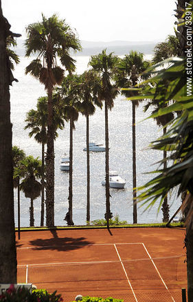 Portezuelo entre las palmeras - Punta del Este y balnearios cercanos - URUGUAY. Foto No. 33917