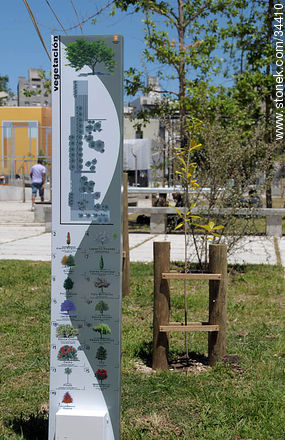 Parque Seregni. Guía de especies vegetales. - Departamento de Montevideo - URUGUAY. Foto No. 34410