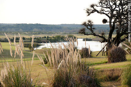 Four Seasons Resort golf field - Department of Colonia - URUGUAY. Photo #34613