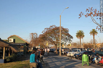 Paseo por la rambla de Mercedes - Departamento de Soriano - URUGUAY. Foto No. 34786