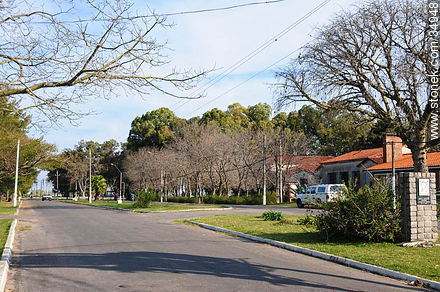 Avenue of Carmelo - Department of Colonia - URUGUAY. Photo #34948