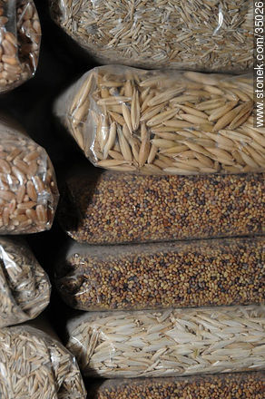 Varios tipos de granos: cebada trigo - Departamento de Río Negro - URUGUAY. Foto No. 35026