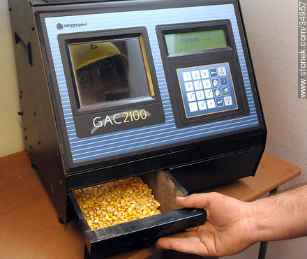 Análisis de humedad de una muestra de granos de maíz -  - IMÁGENES VARIAS. Foto No. 34957