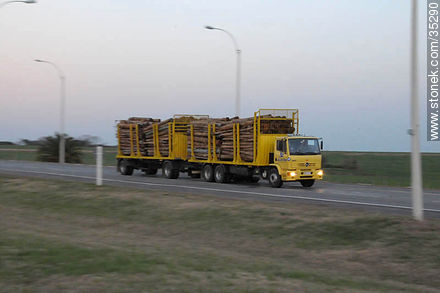Camión maderero para la planta de UPM - Departamento de Río Negro - URUGUAY. Foto No. 35290