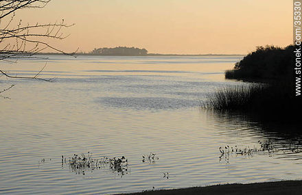 Río Uruguay al amanecer - Departamento de Río Negro - URUGUAY. Foto No. 35330