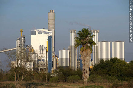 UPM industrial plant - Rio Negro - URUGUAY. Photo #35275