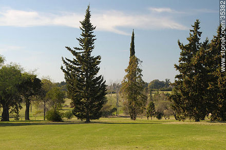 Campos del Fray Bentos Golf Club - Departamento de Río Negro - URUGUAY. Foto No. 35382