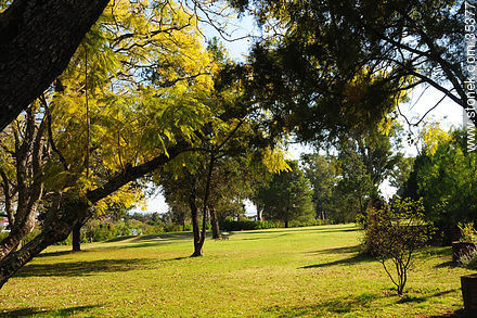 Fray Bentos Golf Club - Departamento de Río Negro - URUGUAY. Foto No. 35377