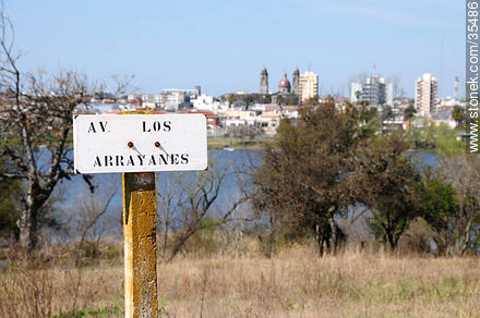 Avenida Los Arrayanes con el fondo de la ciudad de Mercedes - Departamento de Río Negro - URUGUAY. Foto No. 35486