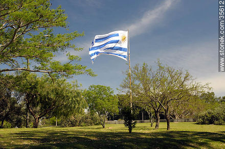 Plaza de la Bandera en el Prado de la Piedra Alta - Departamento de Florida - URUGUAY. Foto No. 35612