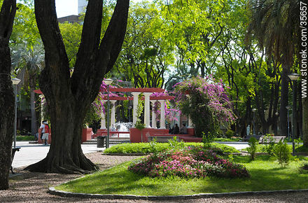 Plaza Sarandí. - Departamento de Durazno - URUGUAY. Foto No. 35657